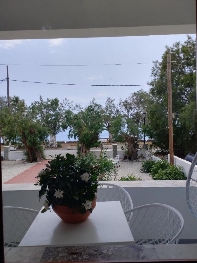 Zorbas Ξενοδοχείο Σούγια Εξωτερικό φωτογραφία